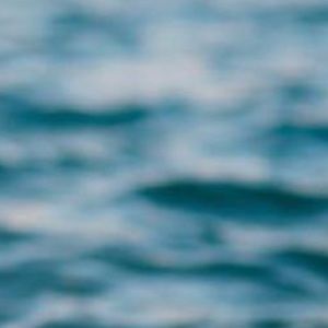 Meet your Posher, Mariah